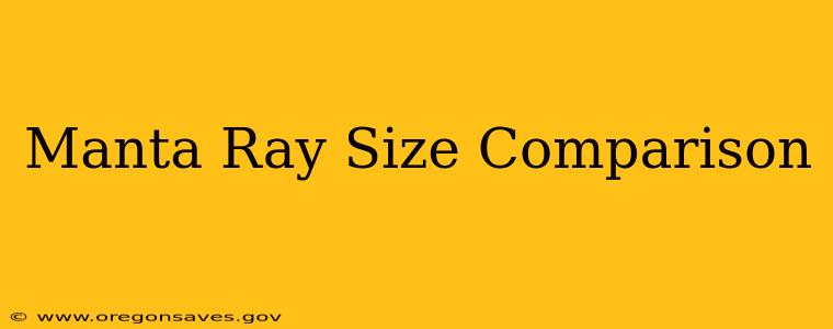 Manta Ray Size Comparison