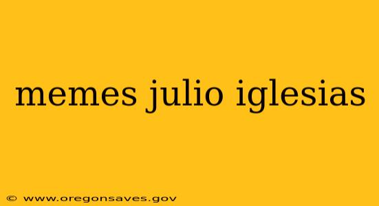 memes julio iglesias