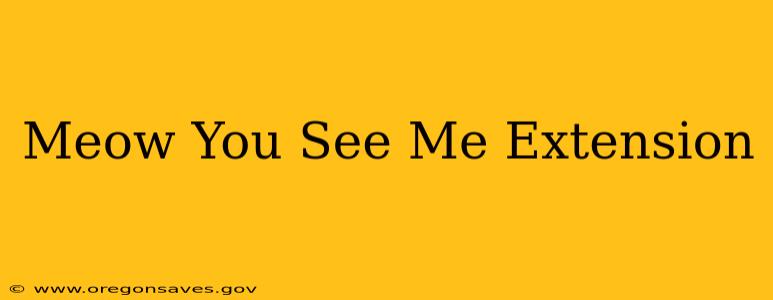 Meow You See Me Extension