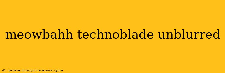 meowbahh technoblade unblurred