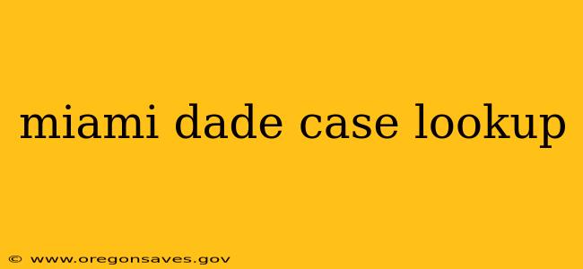 miami dade case lookup