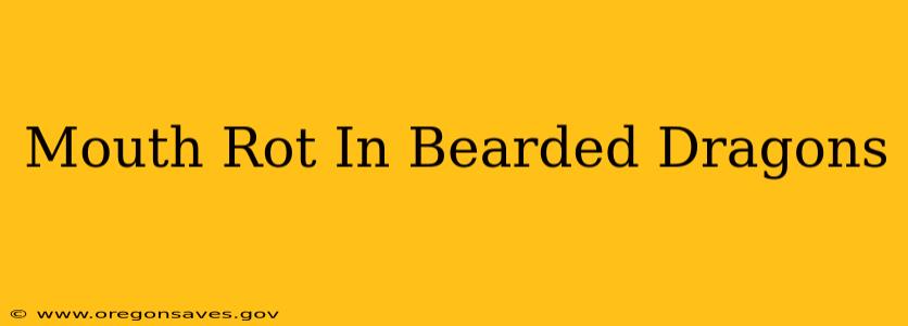 Mouth Rot In Bearded Dragons