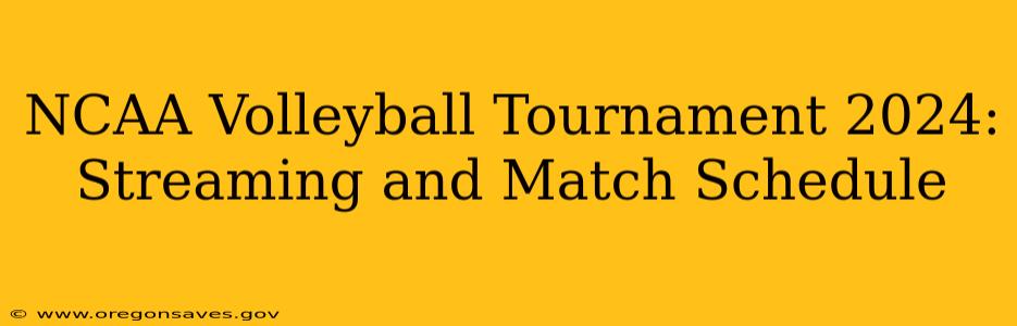 NCAA Volleyball Tournament 2024: Streaming and Match Schedule