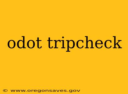 odot tripcheck