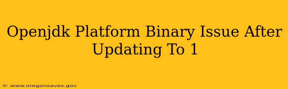 Openjdk Platform Binary Issue After Updating To 1