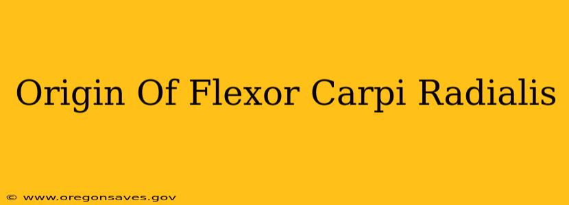 Origin Of Flexor Carpi Radialis
