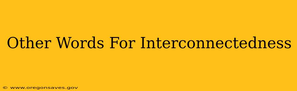 Other Words For Interconnectedness