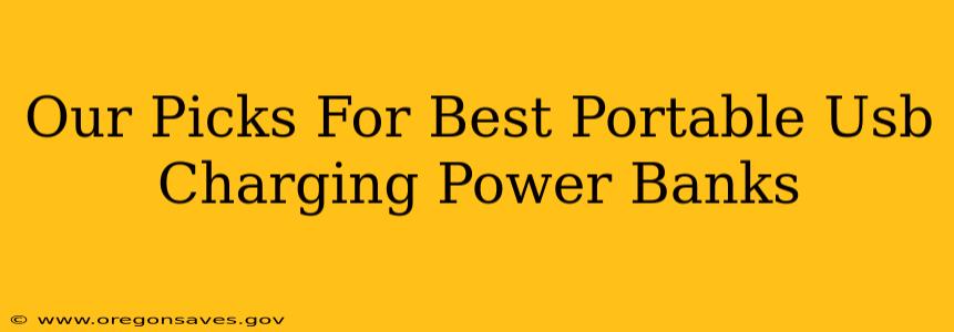 Our Picks For Best Portable Usb Charging Power Banks