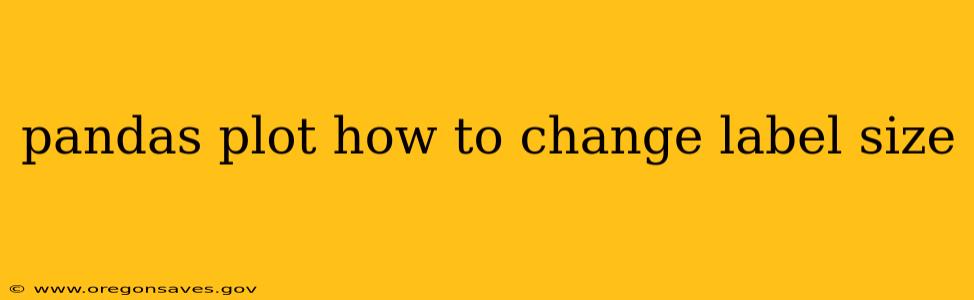 pandas plot how to change label size