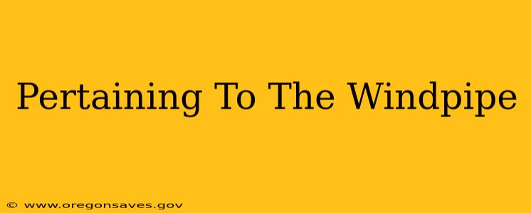 Pertaining To The Windpipe