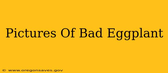 Pictures Of Bad Eggplant
