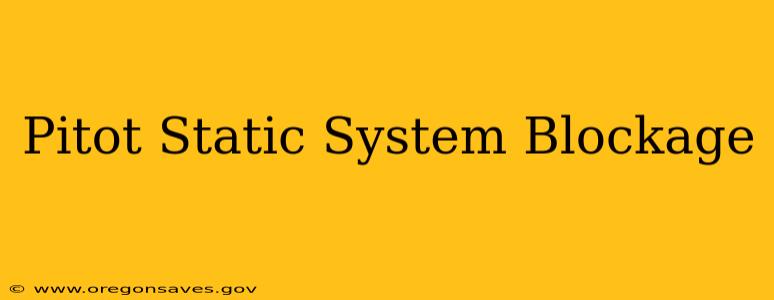 Pitot Static System Blockage