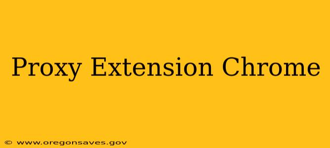 Proxy Extension Chrome