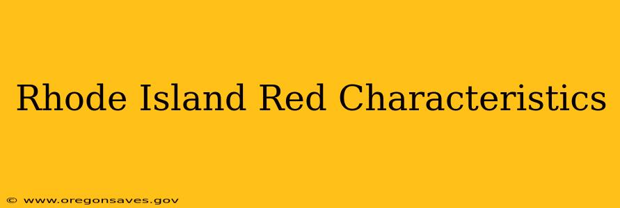 Rhode Island Red Characteristics