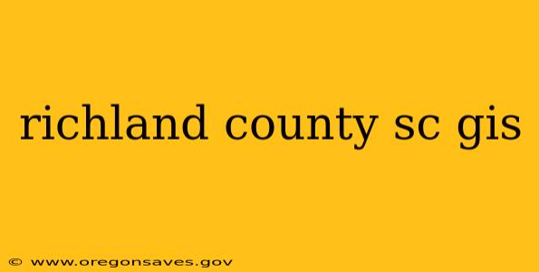 richland county sc gis