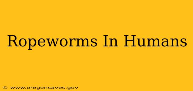 Ropeworms In Humans