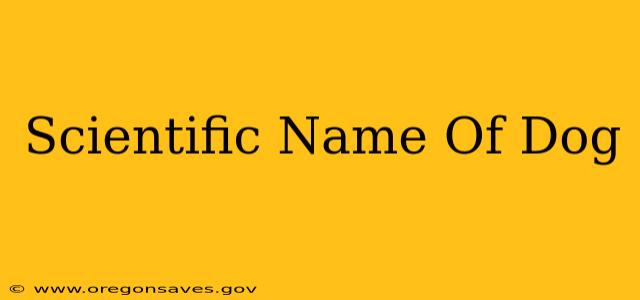 Scientific Name Of Dog