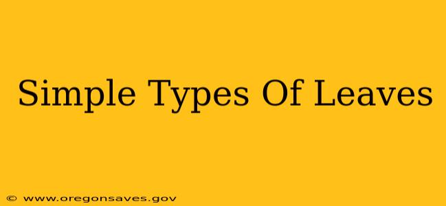 Simple Types Of Leaves