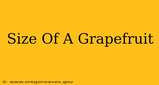 Size Of A Grapefruit