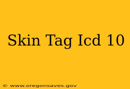 Skin Tag Icd 10