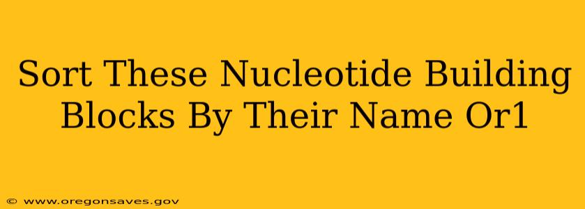 Sort These Nucleotide Building Blocks By Their Name Or1