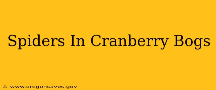 Spiders In Cranberry Bogs