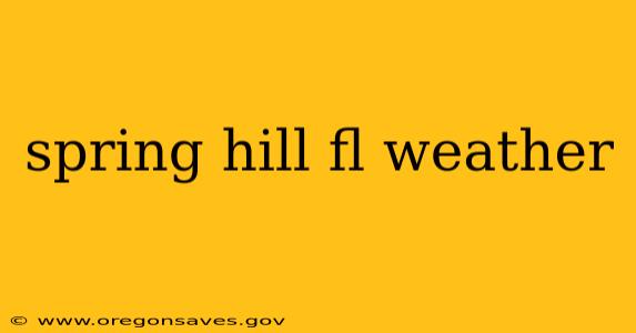 spring hill fl weather