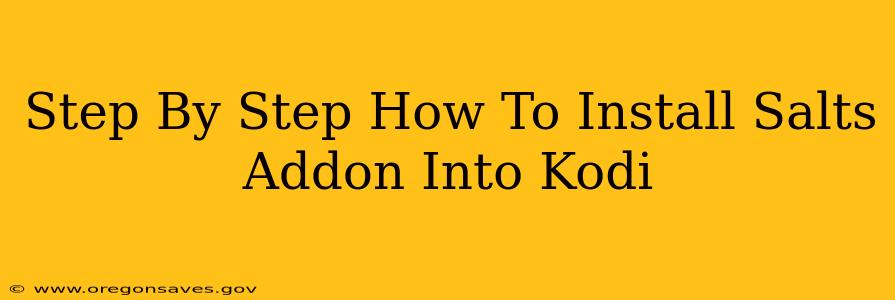 Step By Step How To Install Salts Addon Into Kodi