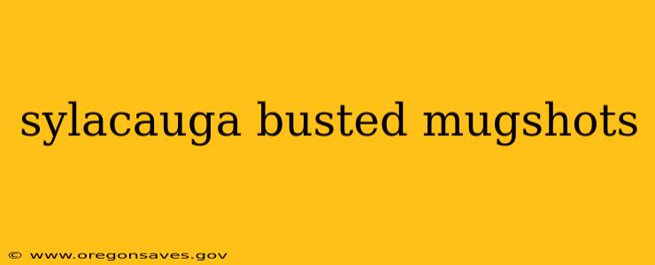 sylacauga busted mugshots