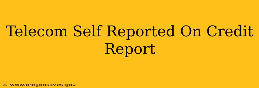 Telecom Self Reported On Credit Report