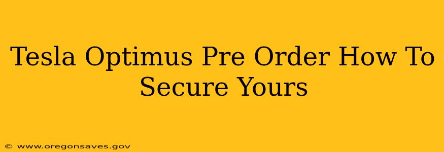 Tesla Optimus Pre Order How To Secure Yours