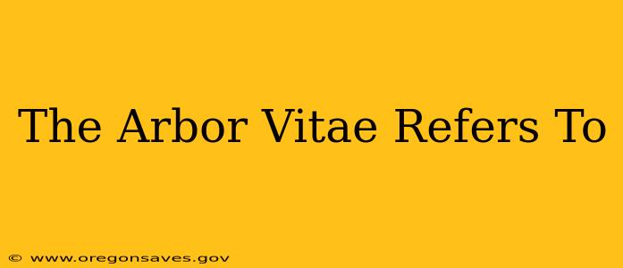 The Arbor Vitae Refers To