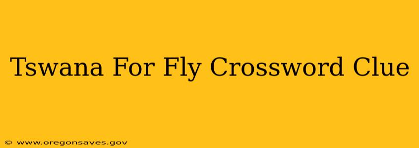Tswana For Fly Crossword Clue