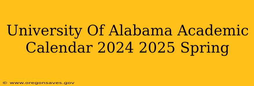 University Of Alabama Academic Calendar 2024 2025 Spring