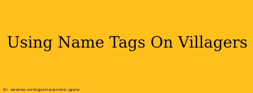 Using Name Tags On Villagers