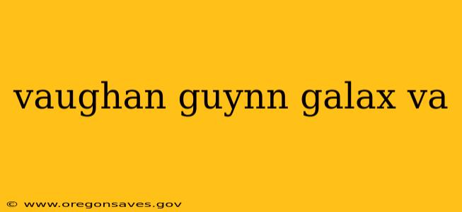 vaughan guynn galax va