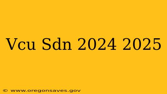 Vcu Sdn 2024 2025