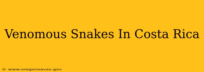 Venomous Snakes In Costa Rica