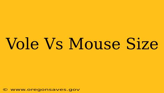 Vole Vs Mouse Size