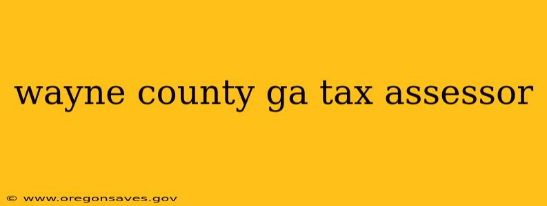 wayne county ga tax assessor