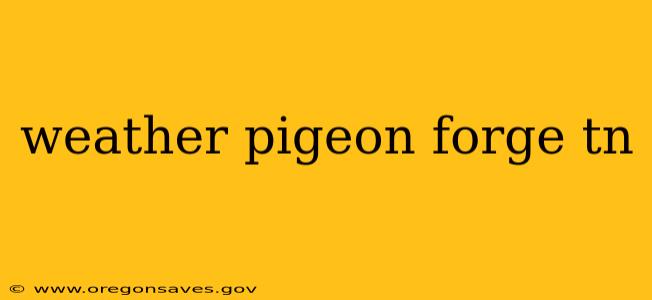weather pigeon forge tn