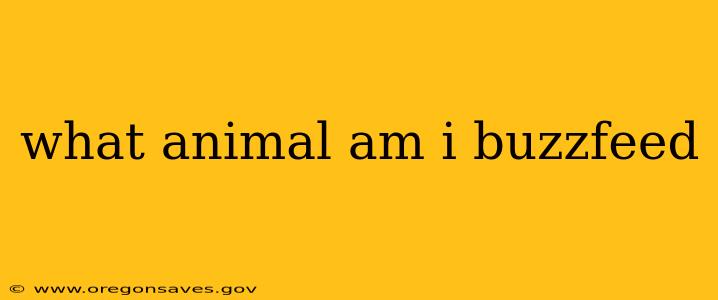 what animal am i buzzfeed