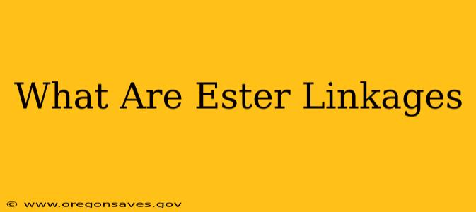 What Are Ester Linkages