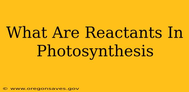 What Are Reactants In Photosynthesis