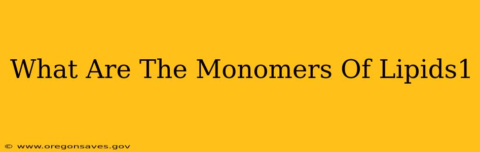What Are The Monomers Of Lipids1