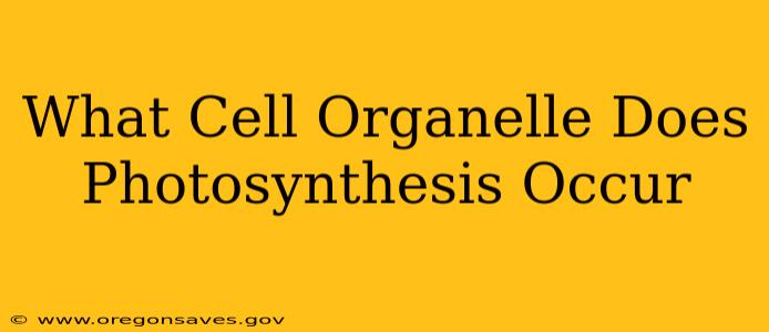 What Cell Organelle Does Photosynthesis Occur