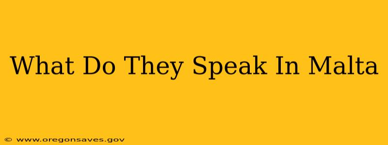 What Do They Speak In Malta