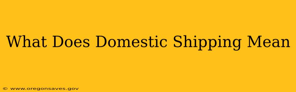 What Does Domestic Shipping Mean
