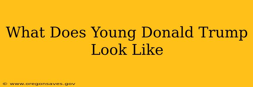 What Does Young Donald Trump Look Like