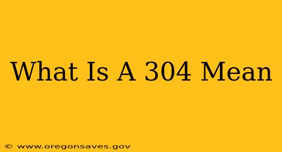 What Is A 304 Mean